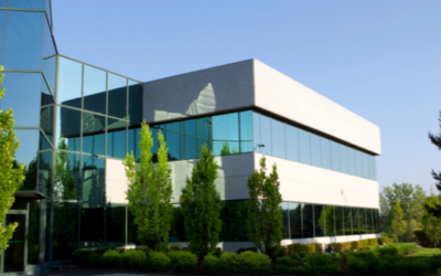 Maximizing Natural Light with Commercial Glass Designs