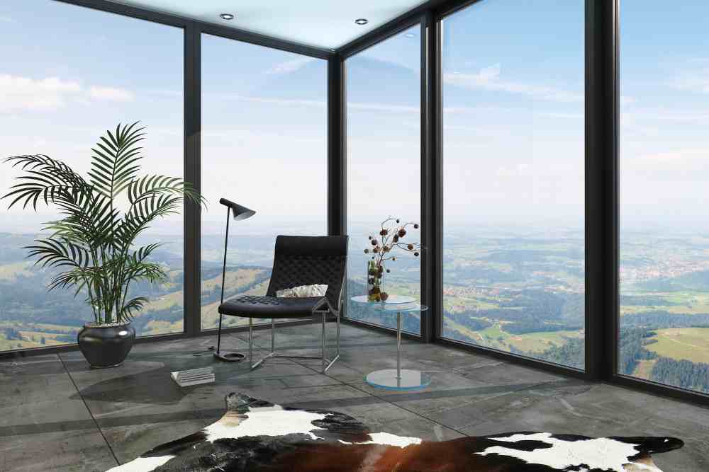 Windshield Replacement Options